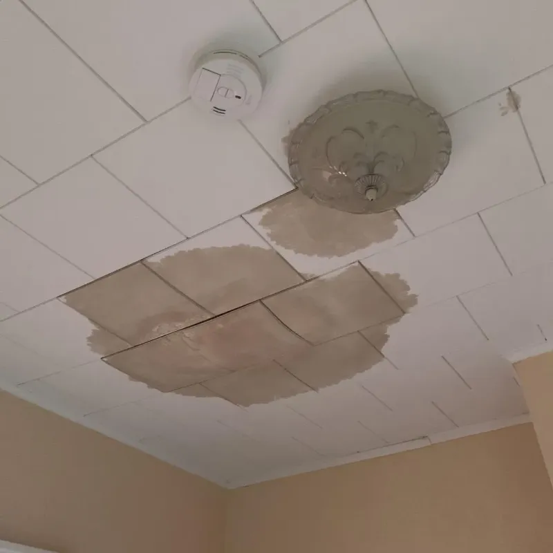 Ceiling Water Damage Repair in Barnesville, MN