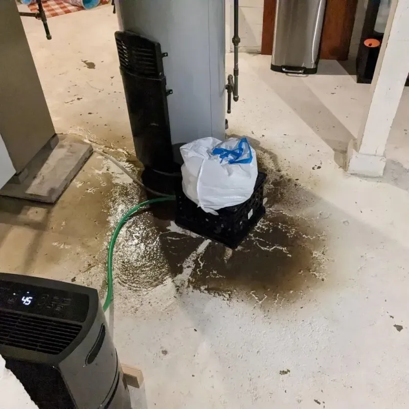 Sewage Backup Cleanup Service in Barnesville, MN